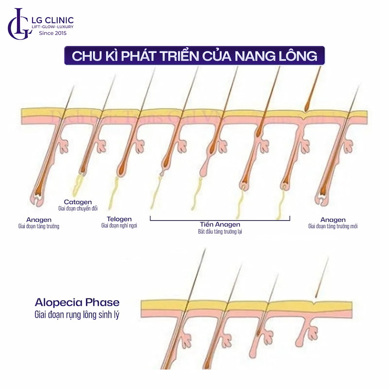 thời gian triệt lông cách nhau bao lâu là hợp lí