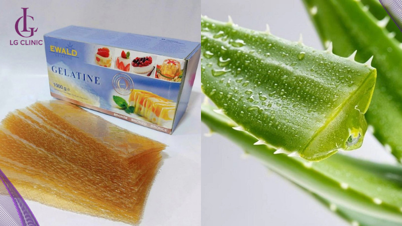 Gelatin và nha đam 