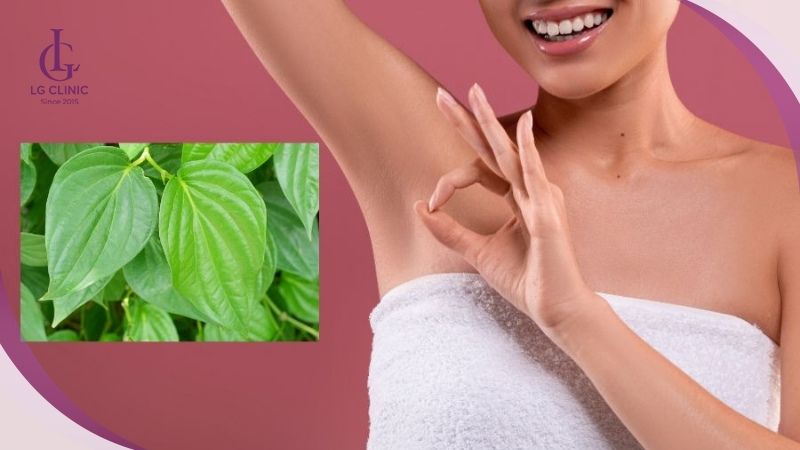 Lá trầu không được ứng dụng rộng rãi trong việc loại bỏ lông trên cơ thể