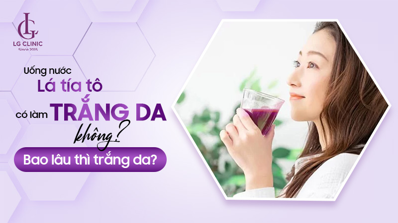 uống nước lá tía tô có trắng da không