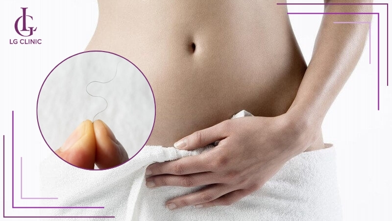 Lông vùng kín bị rụng nhiều ở nữ