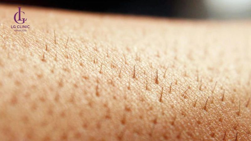 tại sao lông có thể mọc lại