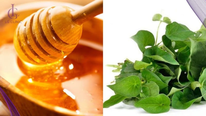 cách làm trắng da bằng rau diếp cá và mật ong tại nhà