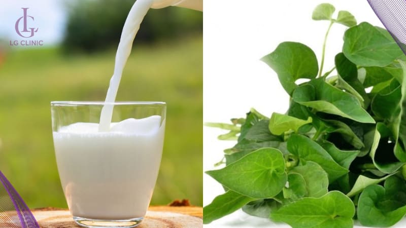 cách làm trắng da bằng rau diếp cá và sữa tươi
