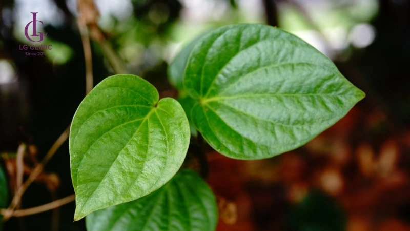 cách triệt lông nách tại nhà