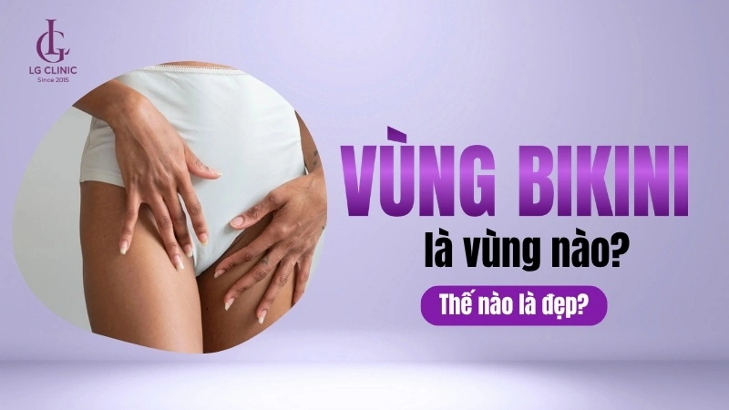 vùng bikini là vùng nào