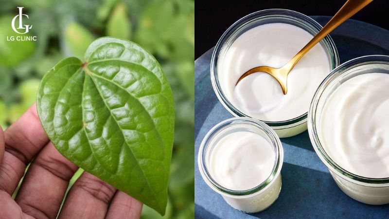 cách trị thâm vùng kín bằng lá trầu