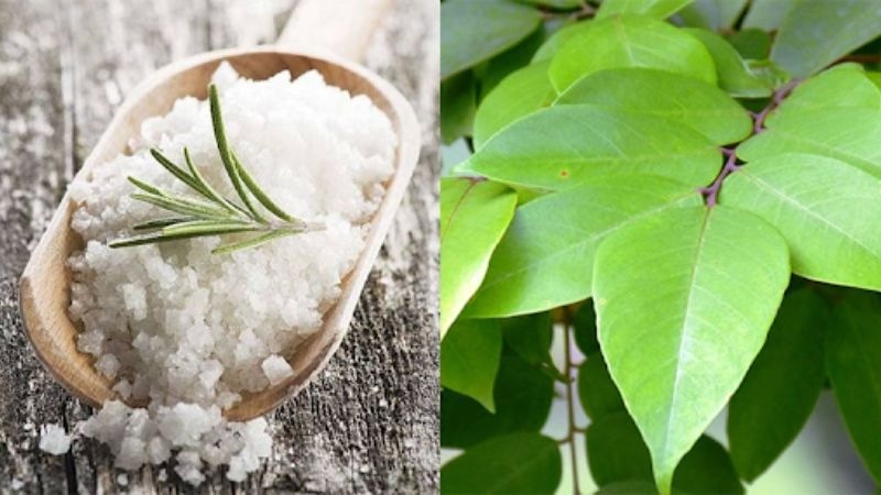 trị ngứa vùng kín bằng muối và lá khế